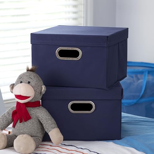 Household Essentials Fabric Storage Boxes with Lids and Handles, Blue (Pack of 8) - color: Navy, size: 2 Count (Pack of 8)