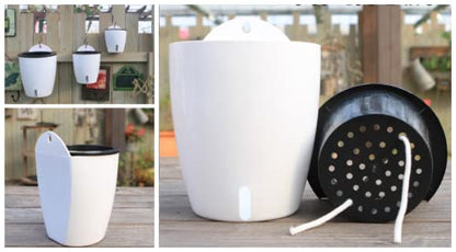 5 Pack Visible Water Level Self Watering Planter with Inner Pot,Hanging Planters,Wall Mounted Plants Holder,Small Flower pots Indoor Out Flowerpot with 5 Hooks for All House Plants (White) - size: 4.25 Inch
