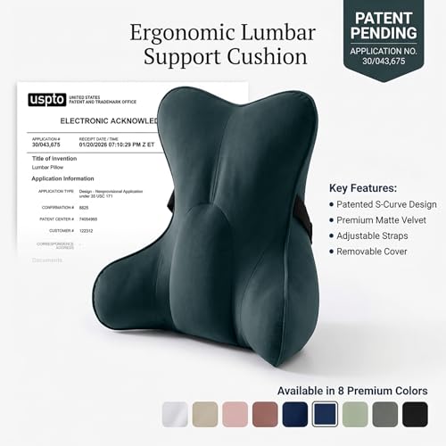 Lumbar Support Pillow(Pat. Pend) for Lower Back Pain Relief – Multi-Functional Ergonomic Lumbar Cushion, Reading Pillow for Office Chair, Car Seat & Sofa,Charcoal Gray - color: Charcoal Gray