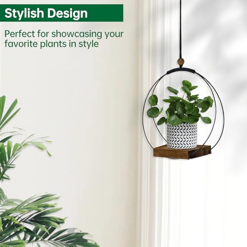 Hanging Planter for Indoor Plants, Black Plant Hanger Indoor with Sturdy Wood Base, Modern Boho Macrame Plant Hanger for 3-5.5 Inch Pot, Hanging Wall Ceiling Window Home Decor (Pots Not Included)