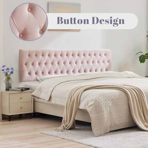 Tufted Upholstered King Size Bed Headboard in Modern Button Design, Adjustable Solid Wood Head Board, Premium Velvet Fabric Padded Headboards in Bedroom (Pink) - color: Pink, size: King