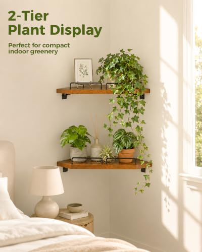 Bamworld Corner Shelf Wall Mounted Floating Corner Shelves 13 Inch Black Iron & Wood Plant Shelves Window Shelf for Plants 2 Pack