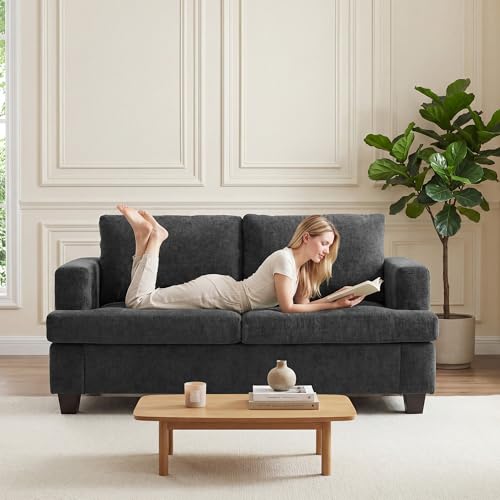 Apicizon 63" Cloud Sofa Loveseat Sofas, Comfy Loveseat Couch for Bedroom Living Room, Couch Sofa with Removable Cushions, Dark Grey Chenille - color: Dark Grey Chenille, size: Loveseat