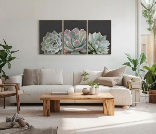 Zessonic Succulent Wall Art,Nature Plant Echeveria Wall Decor,16"x24"x3 | Nature Plant Echeveria Cactus Wall Decor,Tropical Nature Wilderness Botanical Canvas Prints for Bathroom Living Room Bedroom - color: Succulent, size: 16" x 24"x3