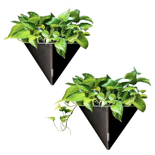 LaLaGreen Indoor Wall Planter (12in, 2 Pack) Black Self Watering Flower Pot | Large Geometric Hanging Vase Vessel with Metal Hanger, Modern Stylish Wall Mounted Succulent Pot Holder Decor - color: Black X 2 Pack