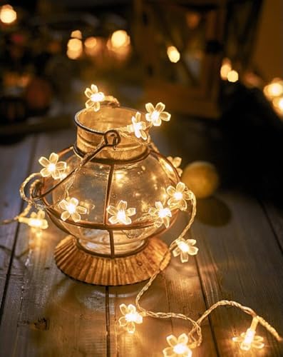 Flower String Lights Plug in, WFGGEH 10ft 20 LED Warm White Cherry Blossom Fairy String Lights for Party Birthday Wedding Christmas Home Decoration