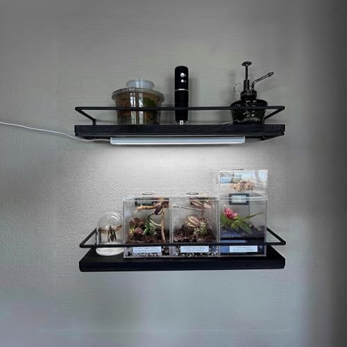 ASOKO Under Cabinet LED Lighting Dimmable 6000K Plug in Kitchen Lights | ASOKO Under Cabinet LED Light Strip, Dimmable 6000K Plug in Counter Lighting for Kitchen Desk Shelf Display Case - color: Cool White, size: 12Inch-Standard