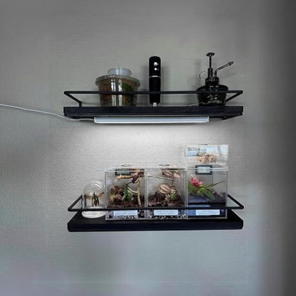 ASOKO Under Cabinet LED Lighting Dimmable 6000K Plug in Kitchen Lights | ASOKO Under Cabinet LED Light Strip, Dimmable 6000K Plug in Counter Lighting for Kitchen Desk Shelf Display Case - color: Cool White, size: 12Inch-Standard
