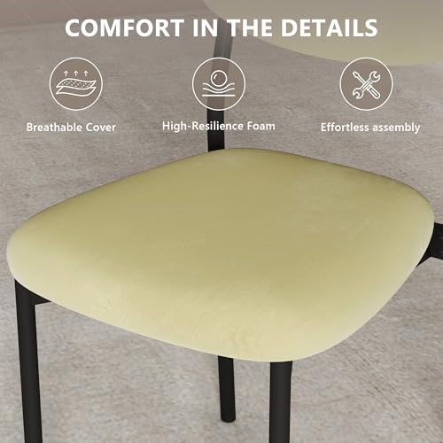 Einhomn Upholstered Dining Chairs Set, Modern Stackable Dining Room Chairs with Soft Velvet Backrest, Kitchen Chairs with Sturdy Metal Legs for Living Room, Restaurant, Set of 2,Light Green - color: Light Green