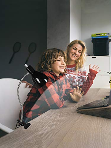 Desk lamp Eye-Caring Table Lamps, 360°Rotation Gooseneck Clip on Lamp Reading Light Portable Reading Book Light Clamp Study Desk Lamps for Bedroom and Office Home Lighting (Black) - color: Black