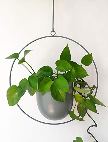 RISEON Boho Green Metal Plant Hanger,Metal Wall and Ceiling Hanging Planter, Modern Planter, Mid Century Flower Pot Plant Holder, Minimalist Planter for Indoor Outdoor Home Decor - color: Green