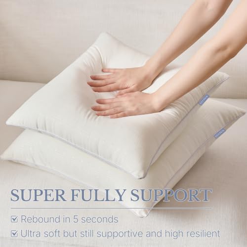 Leeden 12 x 20 Lumbar Pillow Inserts Set of 2 for Sofa Couch Support | Soft polyester fill with durable piping, perfect for sofa, bed and chair pillow covers with lasting comfort and support. - size: 12x20 Inch (Pack of 2)