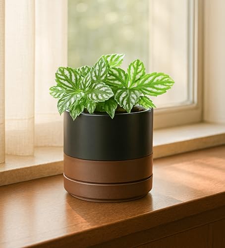 D'vine Dev 2-Pack Ceramic Pots with Saucers, Black/Tan, 4.7 in, 94-V-B-7 | Modern Cylinder Design, Glazed Ceramic, Drainage Hole & Saucer Included, High Temperature Fired, Elegant Home Accent - color: Black/Speckled Tan, size: 4.7 Inch