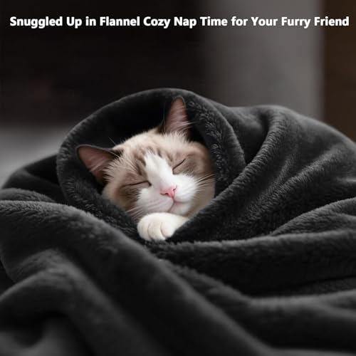 Lukeight Fleece Throw Blanket, Luxury Cozy Fuzzy Lightweight Soft Blankets for Sofa Couch Bed Car Travel and Camping (Grey, 50x60 Inches) - color: Solid Grey, size: 50 in x 60 in