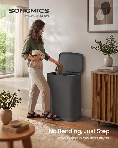 SONGMICS Laundry Basket with Lid, 42.2 Gallons, 2-Compartment Laundry Hamper with Handle and Pedal, Removable Liner, Easy Assembly, 22 x 18.5 x 29.5 Inches, Slate Gray ULCB832B101 - color: Slate Gray
