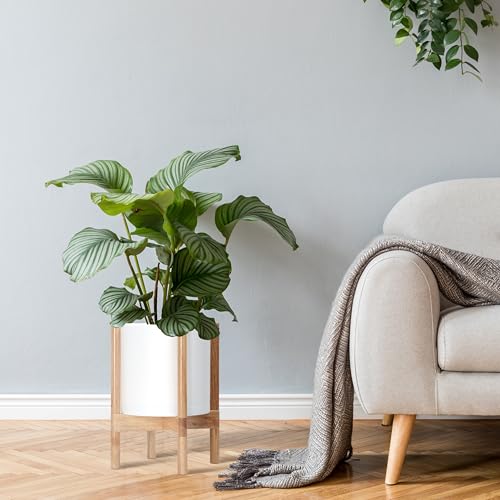 D'vine Dev Plastic Pot with Natural Wood Stand, White, 10 in, 55-C-M-1 | Mid-Century Inspired Design, Elevated Plant Display, Clean Lines, Sturdy Support, Modern Space-Saving Style - color: Matte White Pot + Natural Stand, size: 10 Inch