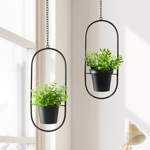Modern Metal Hanging Planters with 5 Inch Pots - Set of 2 Oval Geometric Plant Hangers - Black Wall and Ceiling Mount Flower Holders for Indoor and Covered Outdoor Houseplants - size: OVAL-5 INCH POT