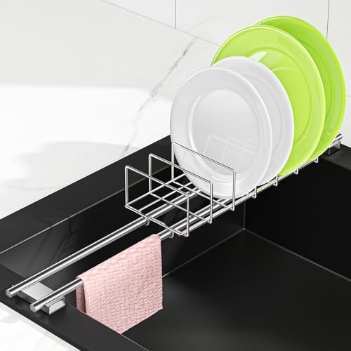 Expandable Over the Sink Plate Drying Rack with Dish Cloth Holder, Small Metal Dish Dryer Rack, Space-Saving Sink Drainer for Plates, Dish Rags, Sponges, Brushes, and Bottles (Silver)