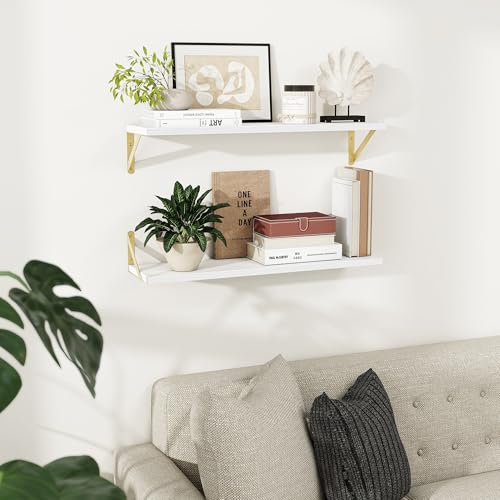 Dreamland Wall Mounted Floating Shelves Set of 2, 30x8, White&Gold | Engineered Wood, Visible Bracket, Large Storage, Hold Up to 50lbs, Living Room, Bathroom, Bedroom, Kitchen - color: White&gold, size: 30"W x 8"D