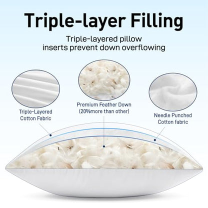 MIULEE Feather and Down 24x24 Inch Throw Pillow Insert for Sofa Bed Couch | Soft Fluffy Throw Pillow, Double-Layer Cotton Fabric, Prevents Feather Leakage - size: 24x24 Inch