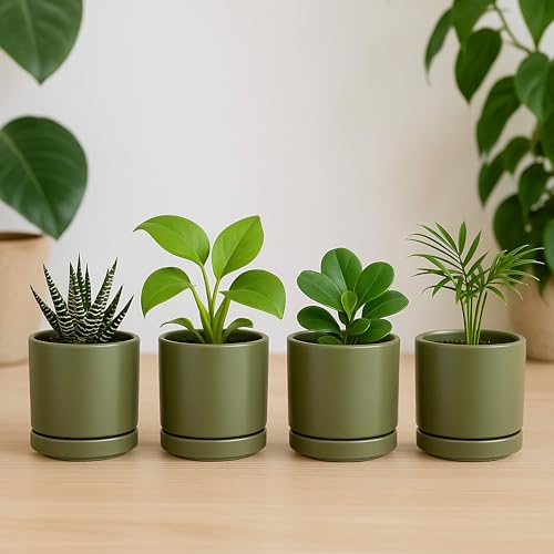 D'vine Dev 2-Pack Ceramic Pots with Saucers, Olive, 3.5 in, 94-V-A-J | Modern Cylinder Design, Glazed Ceramic, Drainage Hole & Saucer Included, High Temperature Fired, Elegant Home Accent - color: Olive, size: 3.5 Inch