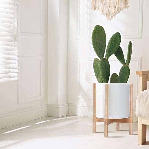 D'vine Dev Plastic Pot with Natural Wood Stand, White, 12 in, 55-C-P-1 | Mid-Century Inspired Design, Elevated Plant Display, Clean Lines, Sturdy Support, Modern Space-Saving Style - color: Matte White Pot + Natural Stand, size: 12 Inch