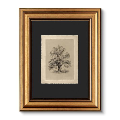 VIYYIEA Vintage Gold Framed Wall Art, Botanical Sketch Rustic Farmhouse Decor, Aesthetic Classical Oak Tree Illustration Pictures for Living Room Bathroom Gallery, 8x10inch - color: dark brown Oak Tree, size: 10"L x 8"W