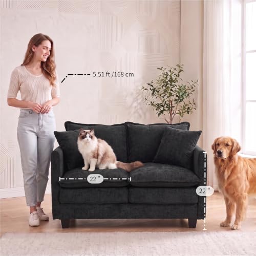 50'' Loveseat Sofa Cloud Sofa Couch, Modern Loveseats 2 Seat Couch 27" Deep Seat with 2 Pillows for Small Spaces Apartment Studio Office Bedroom Living Room, Black - color: Black, size: 50"