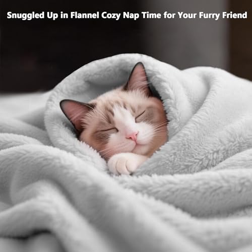 Lukeight Fleece Throw Blanket, Luxury Cozy Fuzzy Lightweight Soft Blankets for Sofa Couch Bed Car Travel and Camping (Light Grey, 50x60 Inches) - color: Solid Light Grey, size: 50 in x 60 in
