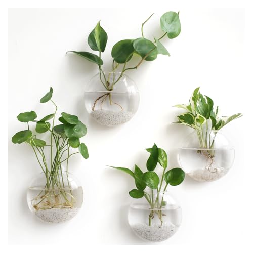 Mkono Wall Propagation Planters, 4 Pack Oblate Hanging Plant Holder Vase | Glass Terrariums Station, Hydroponic Indoor Flowers, Excludes Plants, Bathroom Living Room Office Decor, Gift for Plant Lover