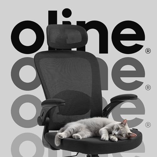 Oline ErgoAir Ergonomic Office Chair – Adjustable Lumbar Support, Flip-Up Armrests, Mesh Computer Desk Chair, Swivel Rolling Executive Gaming Chair for Home & Office (Black) - color: Black