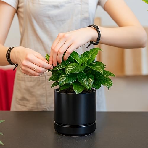 D'vine Dev 2-Pack Ceramic Pots with Saucers, Black, 4.7 in, 94-V-B-2 | Modern Cylinder Design, Glazed Ceramic, Drainage Hole & Saucer Included, High Temperature Fired, Elegant Home Accent - color: Black, size: 4.7 Inch