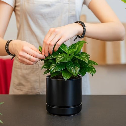 D'vine Dev 2-Pack Ceramic Pots with Saucers, Black, 4.7 in, 94-V-B-2 | Modern Cylinder Design, Glazed Ceramic, Drainage Hole & Saucer Included, High Temperature Fired, Elegant Home Accent - color: Black, size: 4.7 Inch