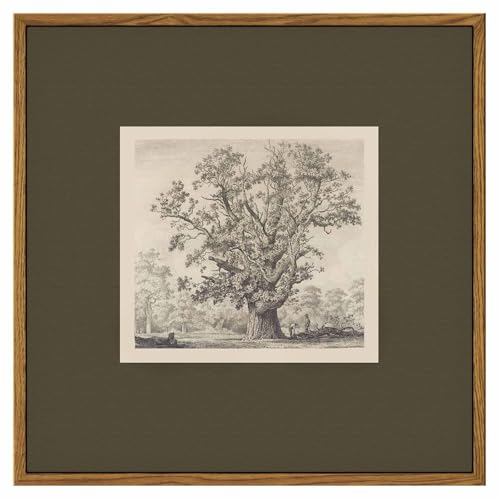 InSimSea Vintage Tree Canvas Wall Art, 12x12 Framed Botanical Sketch Print | Retro Home Decor, Rustic Nature Wall Decor for Living Room Bedroom Office, Antique Farmhouse Woodland Artwork - color: Tree, size: 12"L x 12"W