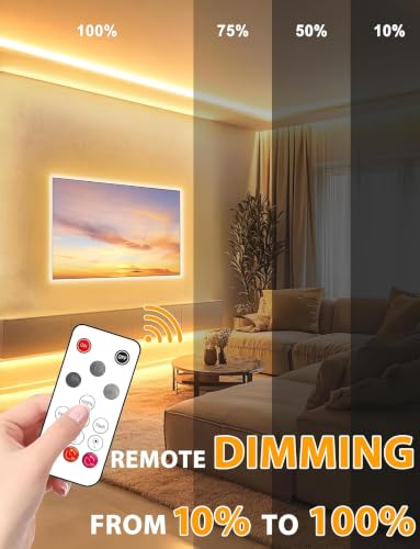 Lamomo COB LED Strip Lights 32.8Ft, Warm White Dimmable Self-Adhesive Led Rope Light with Remote, Flexible Cuttable Waterproof 3000K Silicone Neon Tape Light for Bedroom, Indoor, Cabinet, 10mm Width - color: Warm White, size: 32.8Ft