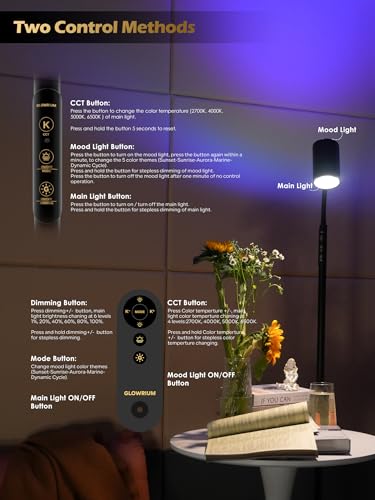 17W LED Reading Floor Lamp with Remote, 67" Dimmable Standing Lamp | Dual-Side Reading Light & Mood Light, 4 Color Temps 7 Brightness, Touch & Remote Control, Adjustable Gooseneck, Task lamp - style: 2-in-1 Lamp (H2)