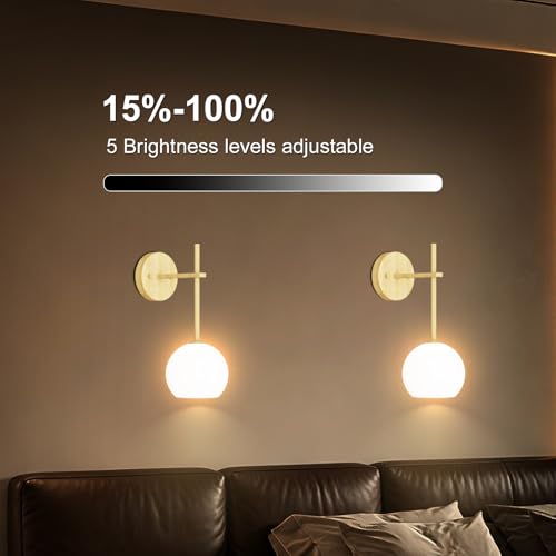 Wood Grain Battery Operated Wall Sconces Set of 2, Rechargeable Wireless Wall Lights with Milky White Frosted Glass, 12 RGB and 3CCT Dimmable Wall Lamps with Remote for Bedroom Living Room Hallway - color: Wood Grain