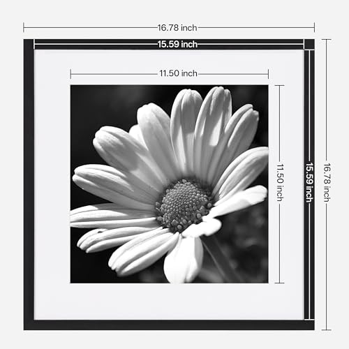 eletecpro 16x16 Picture Frame Set of 6, Display 12x12 with Mat | Gallery Wall Decor, Sturdy & Lightweight, Clear Acrylic, No Acid Mat, 2 Display Sizes - size: 16x16 for 12x12