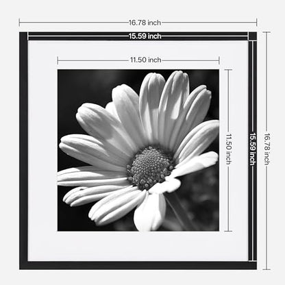 eletecpro 16x16 Picture Frame Set of 6, Display 12x12 with Mat | Gallery Wall Decor, Sturdy & Lightweight, Clear Acrylic, No Acid Mat, 2 Display Sizes - size: 16x16 for 12x12