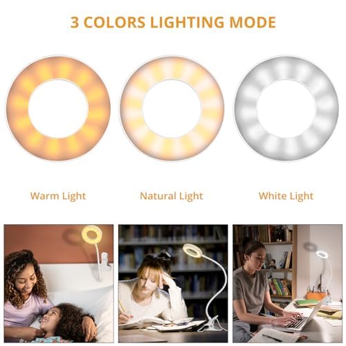 Woputne Desk Lamp Clip on Desk Reading Lights for Books in Bed (White) | With 5V 2A Adapter, 10 Dimmable Brightness 3 Modes, Clip on Light for Reading Home Office,Bed Headboard, Craft - size: White-1 Piece-Standard-With Adapter