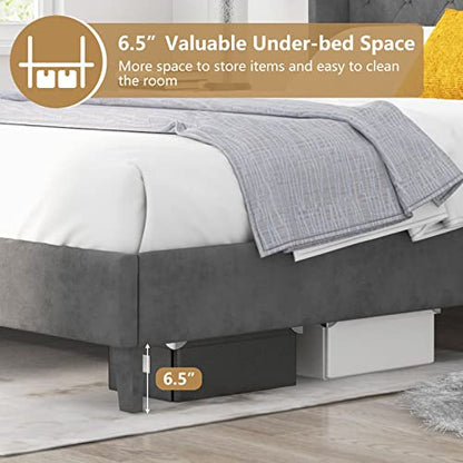 Upholstered Queen Bed Frame w/Wood Slats & Noise-Free EVA Foam | Velvet Mattress Foundation, Button Tufted Wingback Headboard, No Box Spring Needed, Low Platform Bed Frame - size: Queen (U.S. Standard)