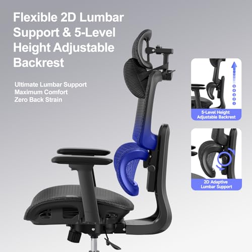 Ergonomic Office Chair with 3D Headrest, Computer Chair with Adjustable Backrest & 3D Armrest, Gaming Chair with Adaptive Lumbar Support, Mesh Backrest & Cushion, Black - color: Black, style: Eco