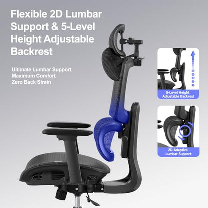 Ergonomic Office Chair with 3D Headrest, Computer Chair with Adjustable Backrest & 3D Armrest, Gaming Chair with Adaptive Lumbar Support, Mesh Backrest & Cushion, Black - color: Black, style: Eco