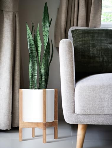 D'vine Dev Plastic Pot with Natural Wood Stand, White, 10 in, 55-C-M-1 | Mid-Century Inspired Design, Elevated Plant Display, Clean Lines, Sturdy Support, Modern Space-Saving Style - color: Matte White Pot + Natural Stand, size: 10 Inch