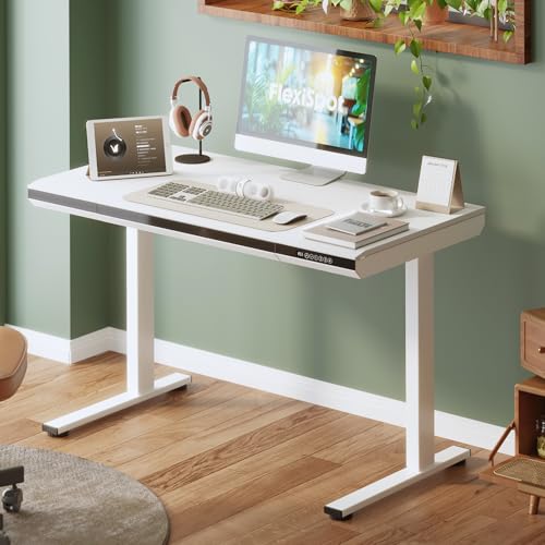 FLEXISPOT One-Piece 48" Standing Desk with Acrylic-Front Drawer, Fast-Assembly Ergonomic Sit-to-Stand Desk with MDF Top, 4 Height Memory Presets Touch-Control, Home Office Computer Workstation, White - size: 48"White+black
