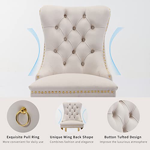 Beige Velvet Dining Chairs Set of 2, Tufted Kitchen & Dining Room Chairs | Two Fabric Dinning Chairs, Velvet Upholstered, Wing Back, Metal Pull Ring, Gold Legs, Wood Frame, Mid Century Modern - color: A-4 Beige Velvet, Gold Legs, size: 2