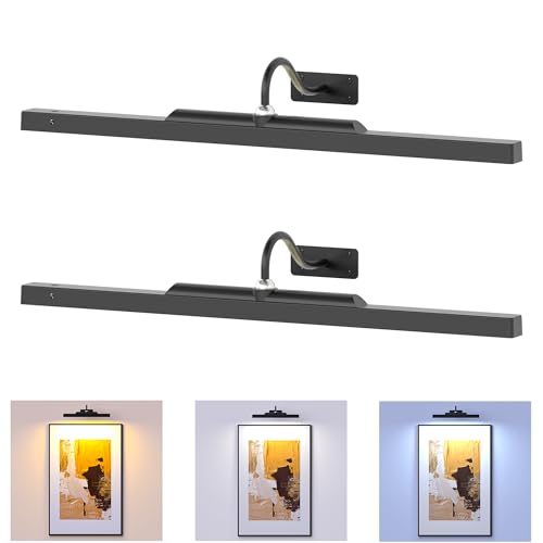 Picture Light for Wall Black, 6000mAh Rechargeable Battery Operated Gallery Lighting LED,Cordless Wireless Remote Dimmable Lighting for Art Frame(24 in, Black) - color: Black, size: 24 Inch