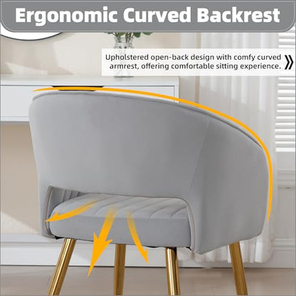 Velvet Home Office Desk Vanity Chair, No Wheels, Gold Legs, Grey | Modern Accent Chair with Stylish Stripe Design, Spacious‌ Soft Seat for Girls & Women Bedroom Makeup or Nail Table - color: Grey Velvet, No Wheels