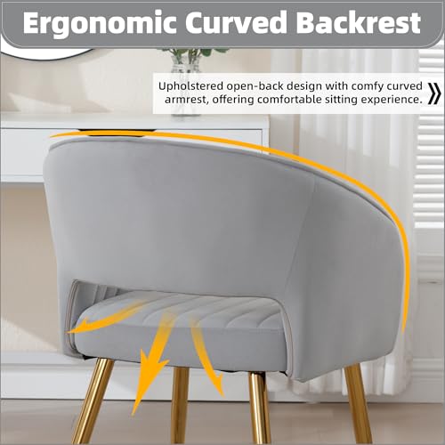 Velvet Home Office Desk Vanity Chair, No Wheels, Gold Legs, Grey | Modern Accent Chair with Stylish Stripe Design, Spacious‌ Soft Seat for Girls & Women Bedroom Makeup or Nail Table - color: Grey Velvet, No Wheels