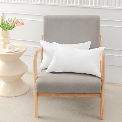 Leeden 26x26 Pillow Inserts, 26 Inch Decorative Throw Pillow Inserts, Soft Fluffy Square Throw Pillows for Couch, Sofa, Bed, and Home Decor White Pillows Pack of 2 - size: 26x26 Inch